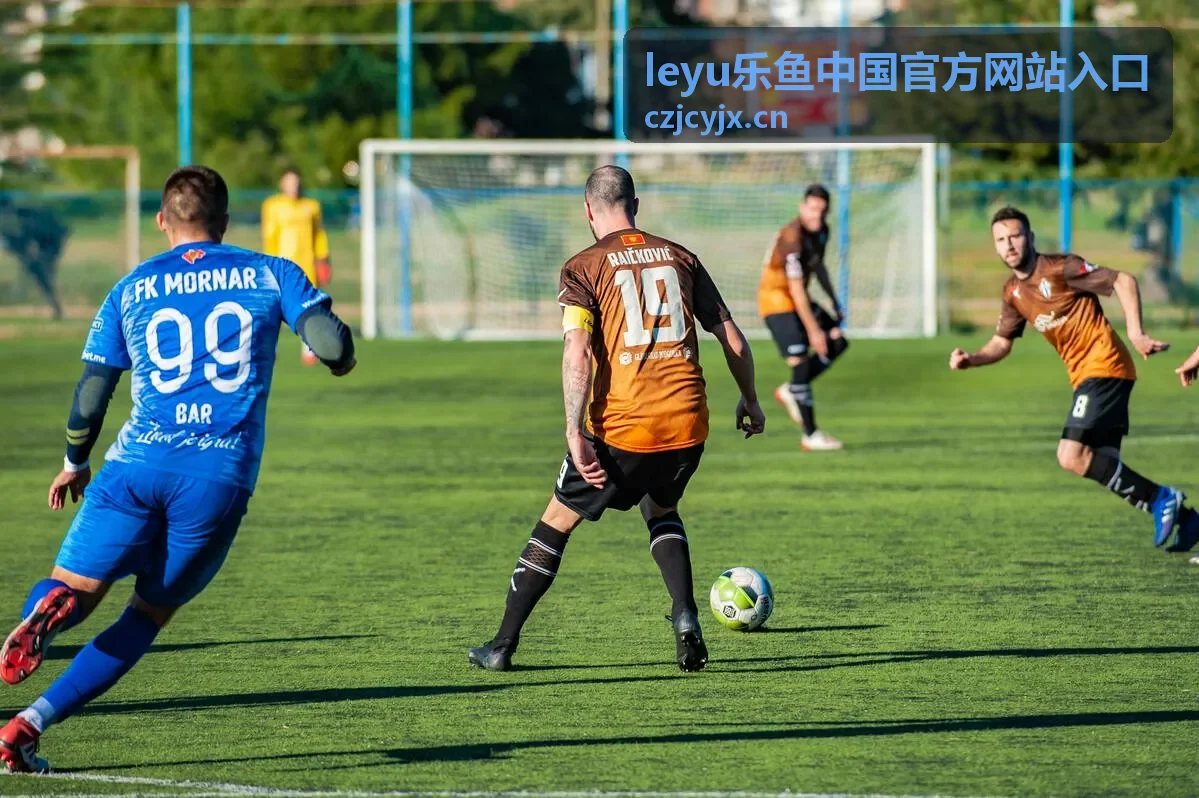 leyu乐鱼中国官方网站入口界面预览