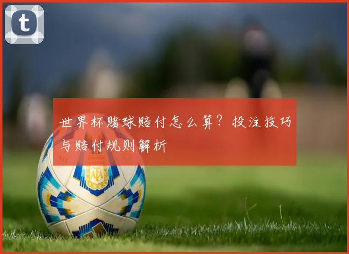 世界杯赌球赔付怎么算？投注技巧与赔付规则解析