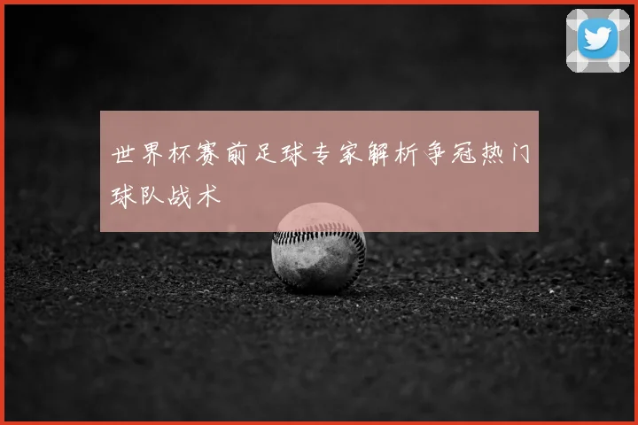 世界杯赛前足球专家解析争冠热门球队战术