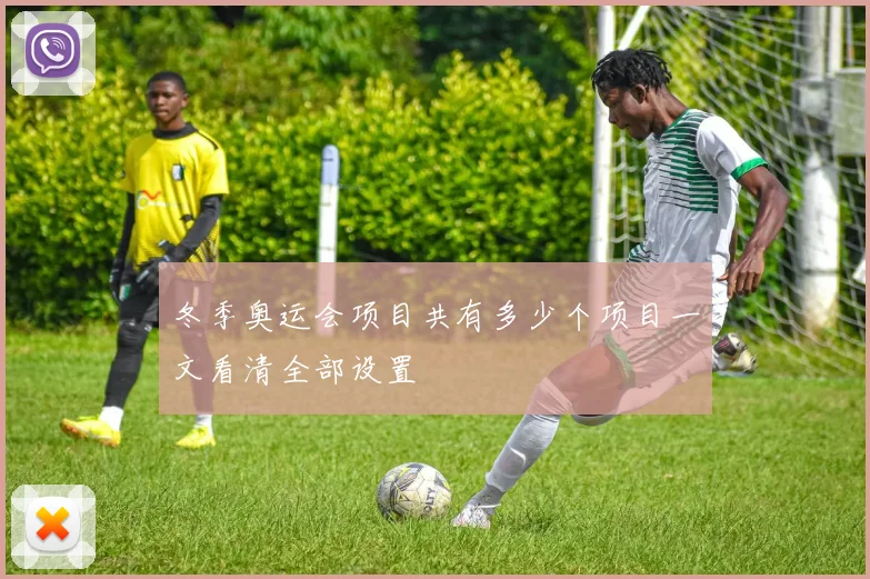 冬季奥运会项目共有多少个项目一文看清全部设置