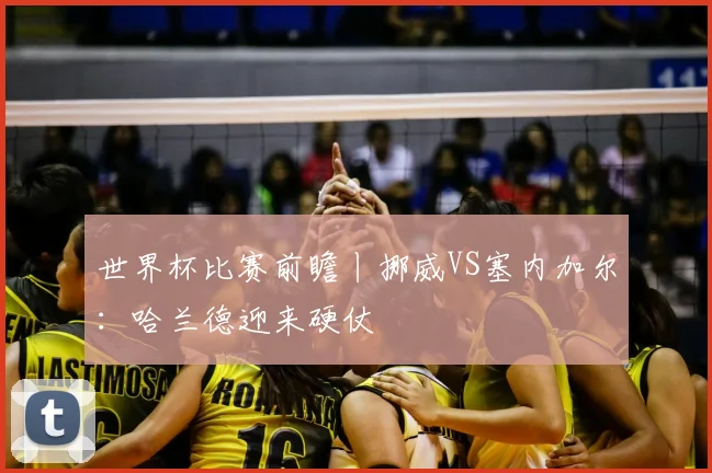 世界杯比赛前瞻丨挪威VS塞内加尔：哈兰德迎来硬仗