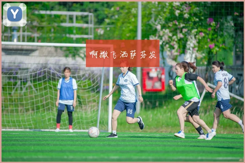 不容错过！女篮世界杯高清视频直播入口与赛程详解