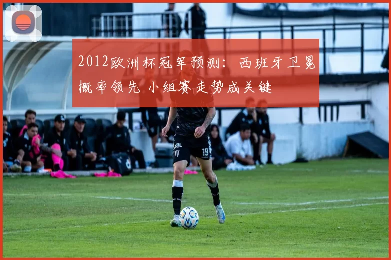 2012欧洲杯冠军预测：西班牙卫冕概率领先 小组赛走势成关键