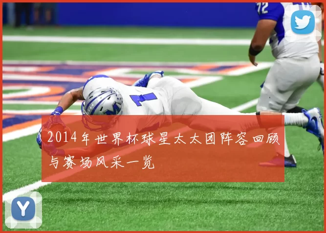 2014年世界杯球星太太团阵容回顾与赛场风采一览