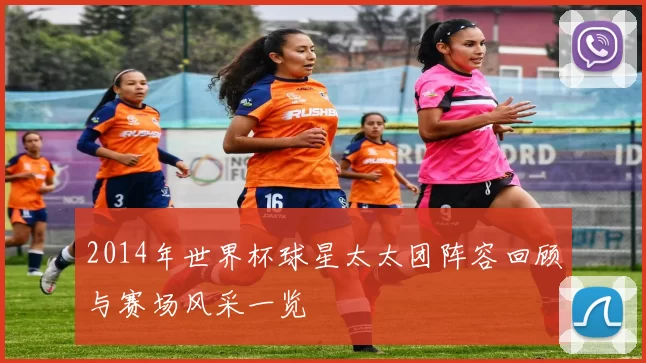 2014年世界杯球星太太团阵容回顾与赛场风采一览