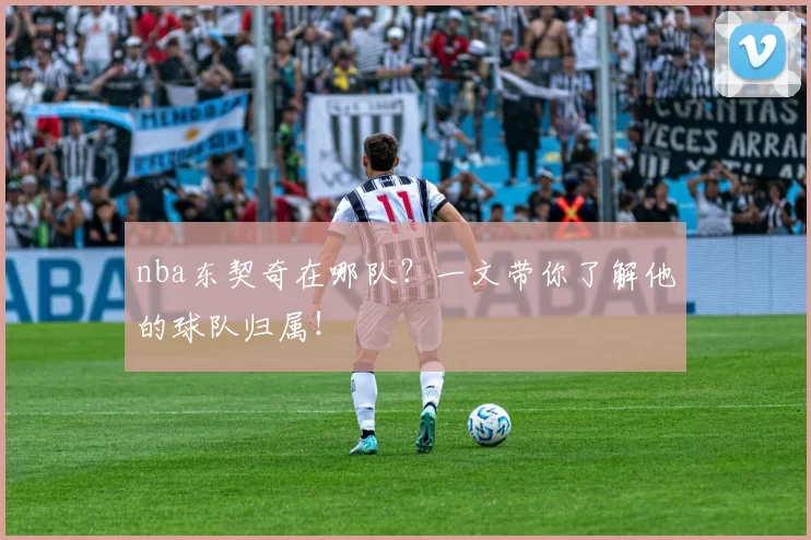 nba东契奇在哪队？一文带你了解他的球队归属！