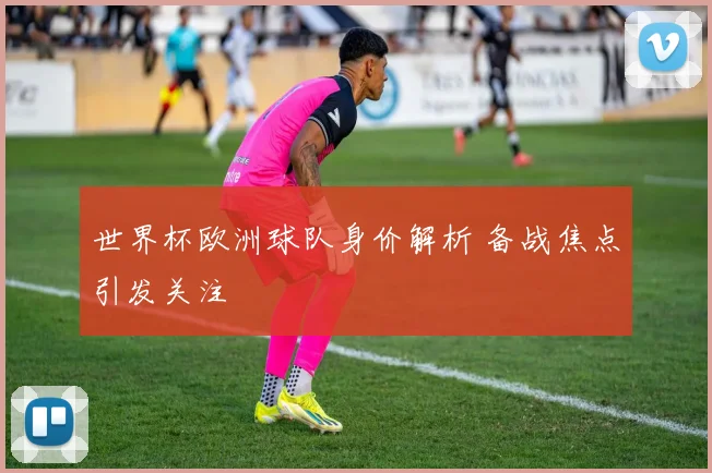 世界杯欧洲球队身价解析 备战焦点引发关注